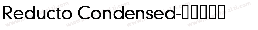Reducto Condensed字体转换